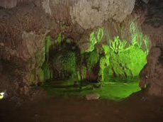 động phong nha